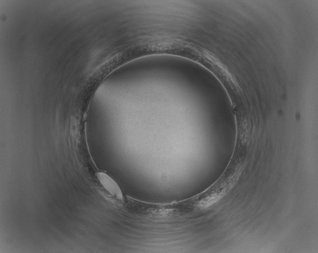 X0000051890497200506241352