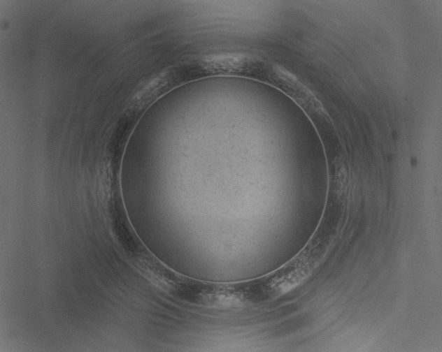 X0000051890498200506241352