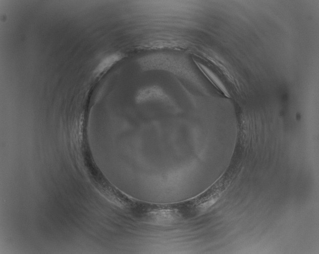 X0000051890499200506241352