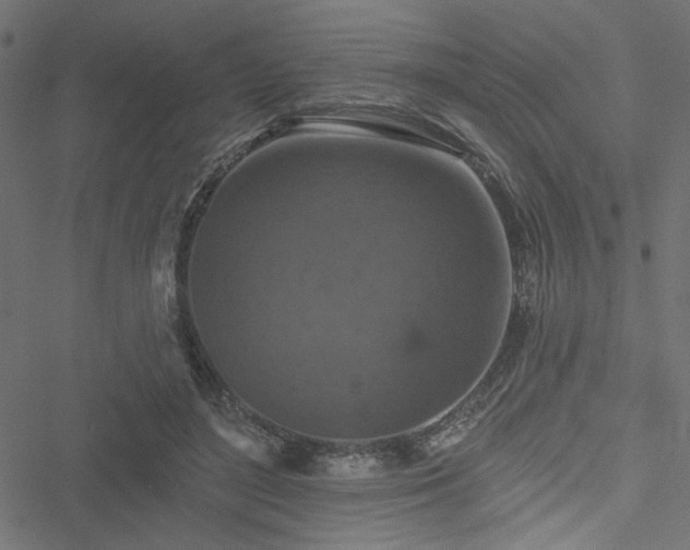 X0000051890500200506241352