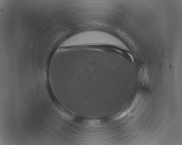 X0000051890501200506241352