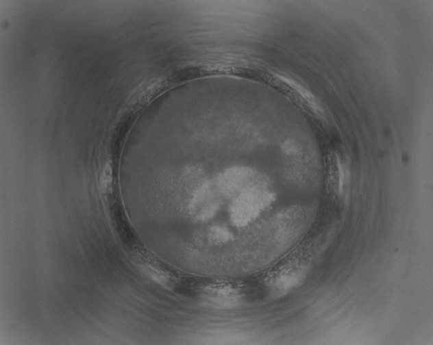 X0000051890502200506241352