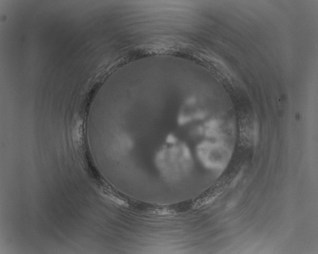 X0000051890503200506241352