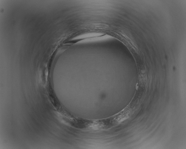 X0000051890504200506241352