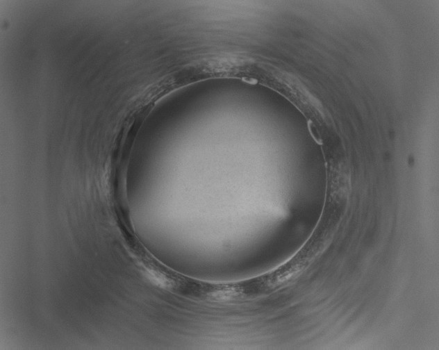 X0000051890505200506241352