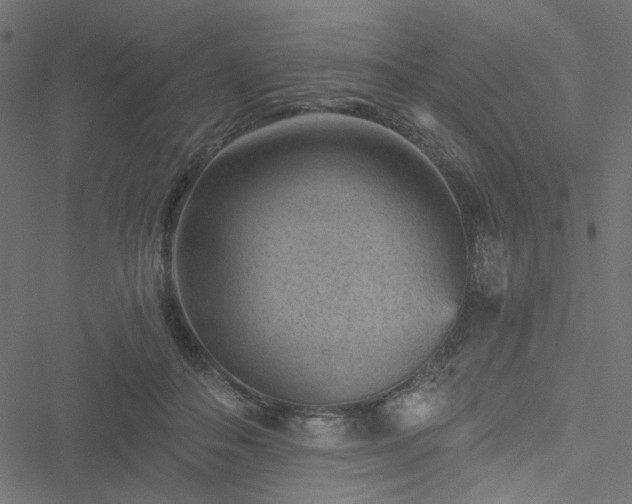 X0000051890506200506241352