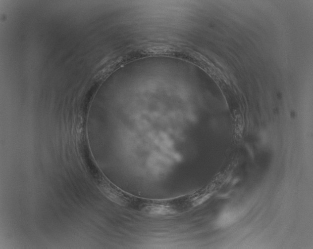 X0000051890507200506241352