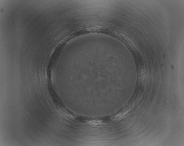 X0000051890508200506241352