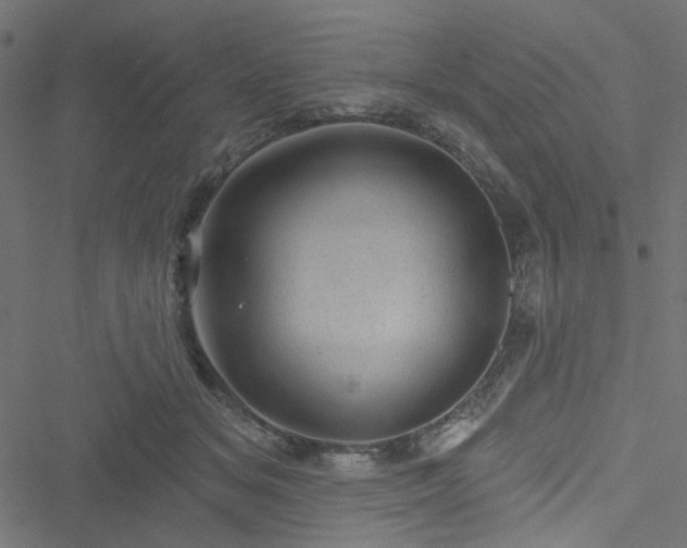 X0000051890509200506241352