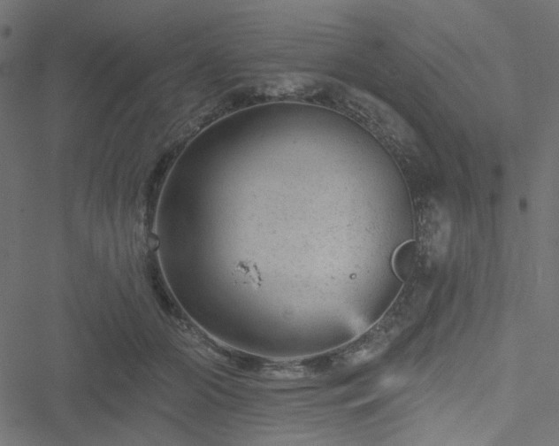 X0000051890510200506241352