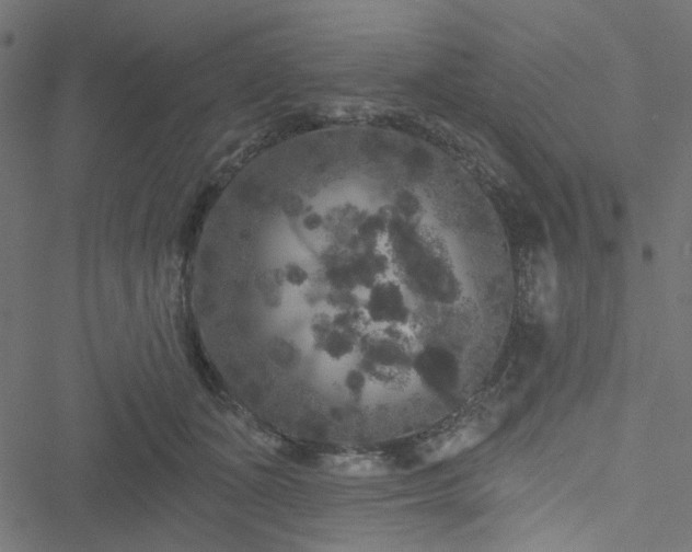 X0000051890511200506241352