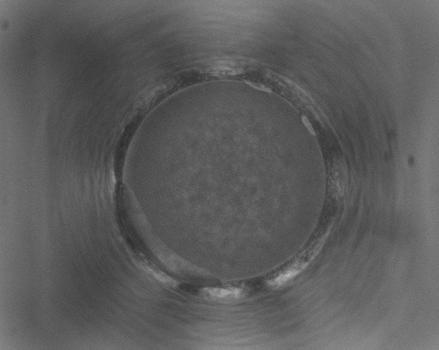 X0000051890512200506241352