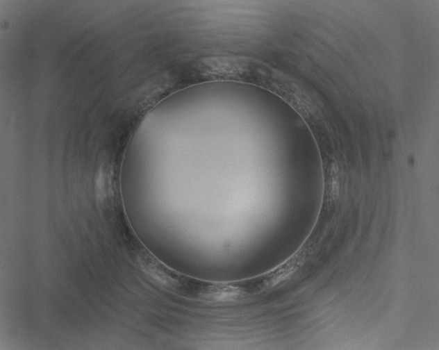 X0000051890514200506241352