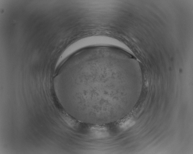 X0000051890515200506241352