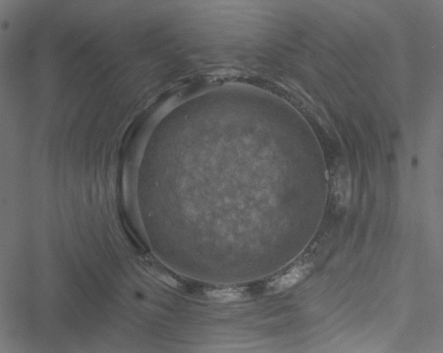 X0000051890516200506241352