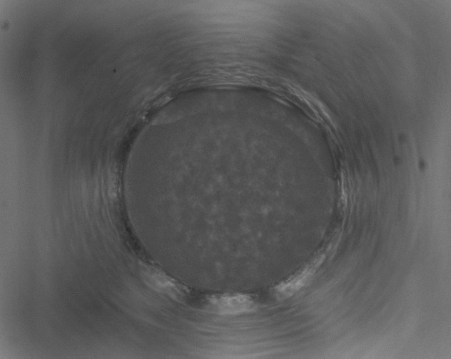 X0000051890517200506241352