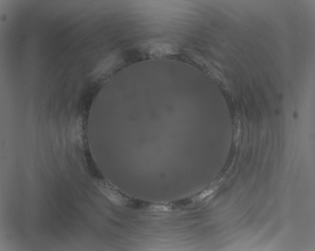 X0000051890519200506241352