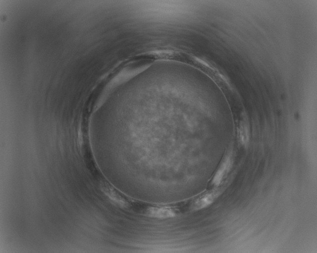 X0000051890520200506241352