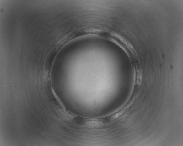 X0000051890521200506241352