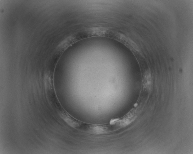 X0000051890522200506241352