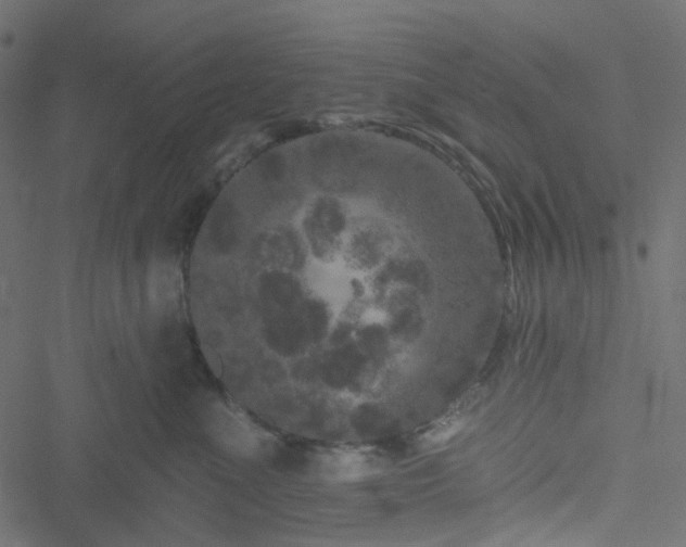 X0000051890523200506241352