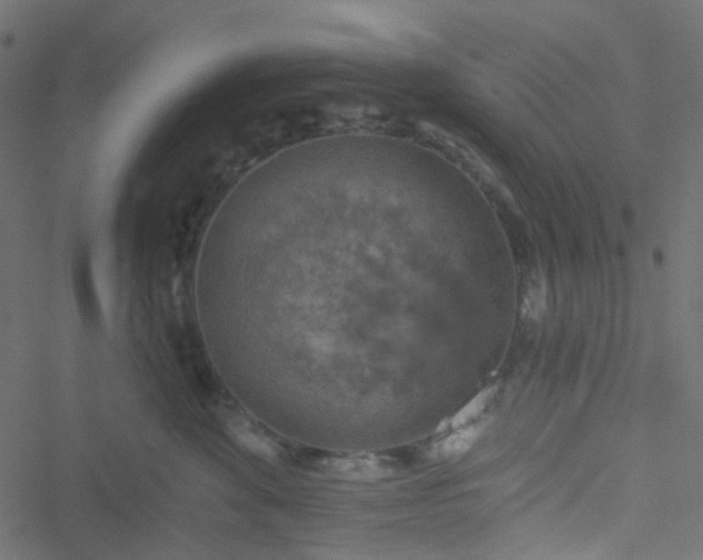 X0000051890524200506241352