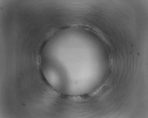 X0000051890525200506241352