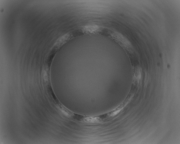 X0000051890526200506241352