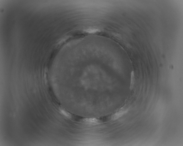 X0000051890528200506241352