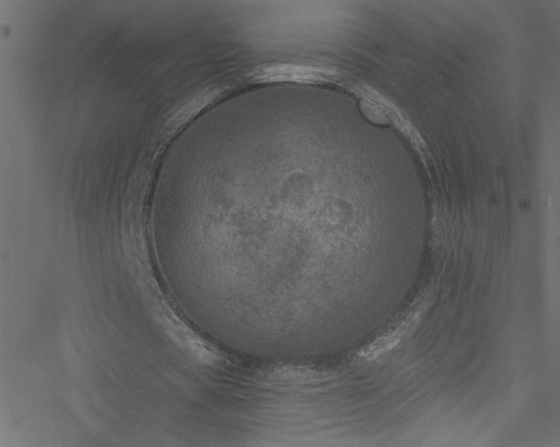 X0000051890529200506241351