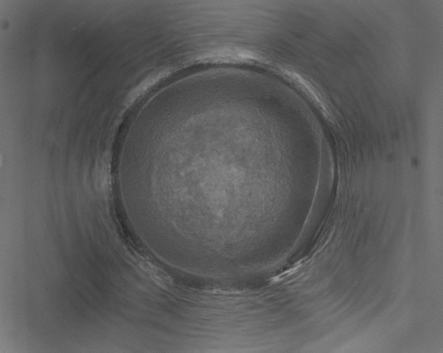 X0000051890531200506241351