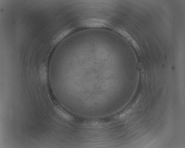 X0000051890533200506241351