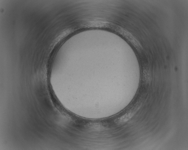 X0000051890534200506241351