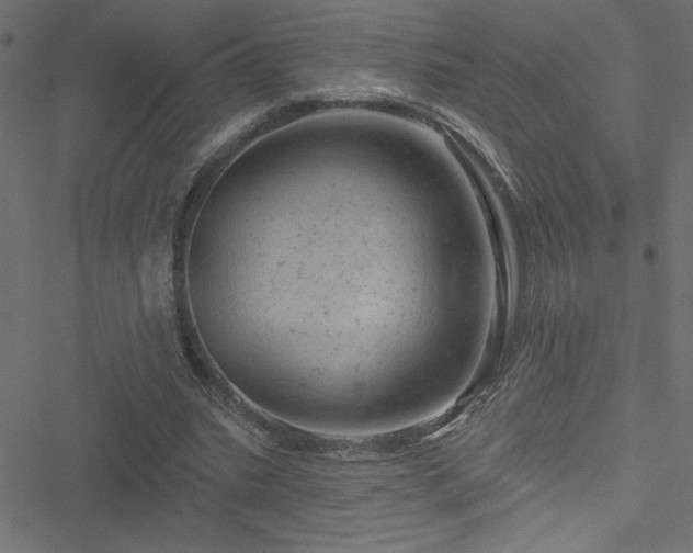 X0000051890535200506241351