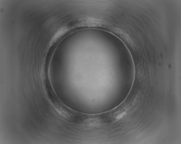 X0000051890536200506241351