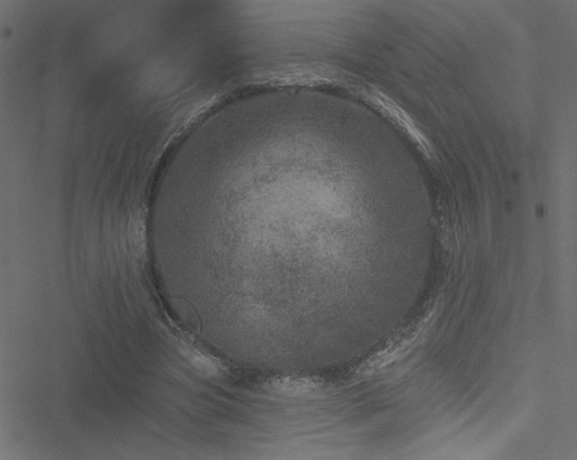 X0000051890537200506241351