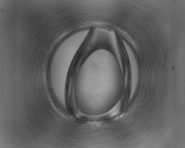 X0000051890538200506241351