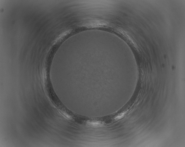 X0000051890539200506241351