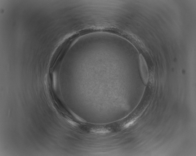 X0000051890540200506241351