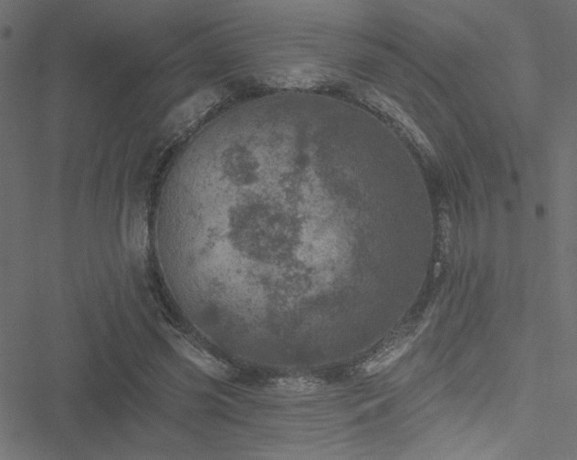 X0000051890541200506241351