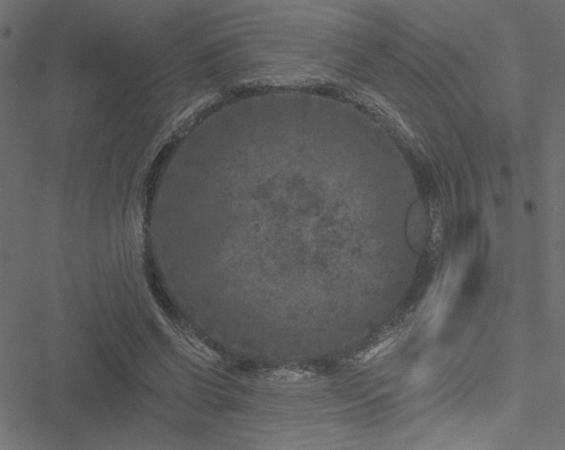 X0000051890542200506241351