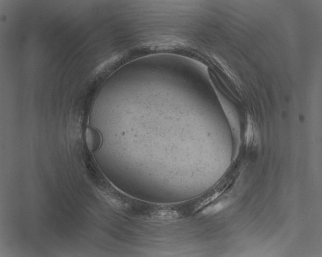 X0000051890543200506241351