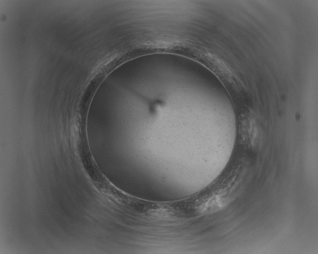 X0000051890544200506241351