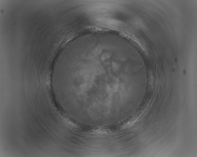 X0000051890545200506241351