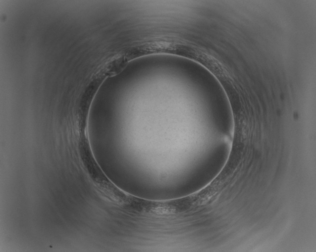 X0000051890546200506241351