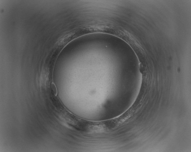 X0000051890548200506241351