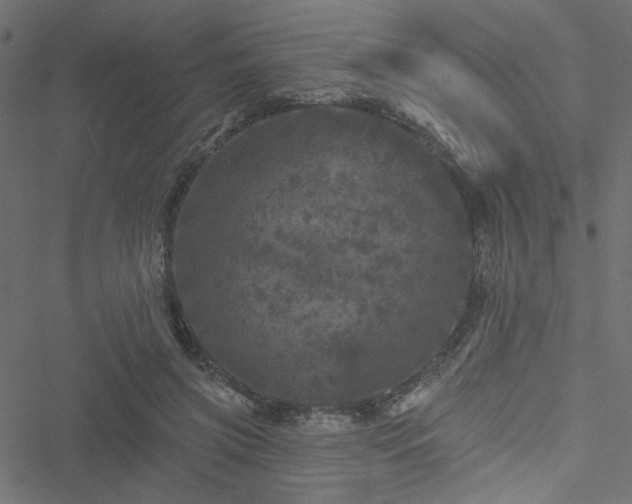 X0000051890549200506241351