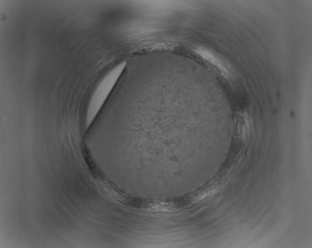 X0000051890550200506241352