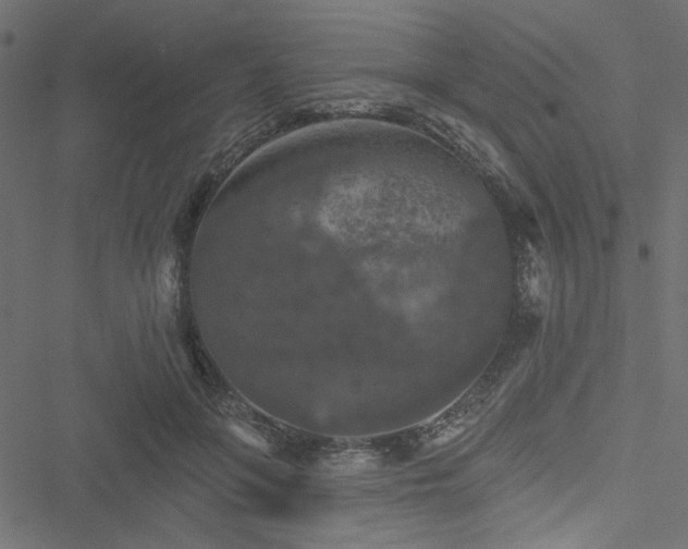 X0000051890551200506241352