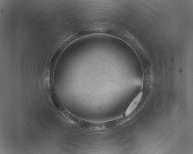 X0000051890552200506241352